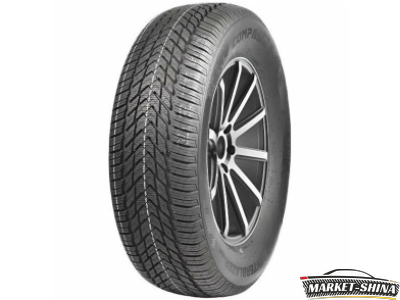 Compasal WinterBlazer HP 205/55 R16 91H
