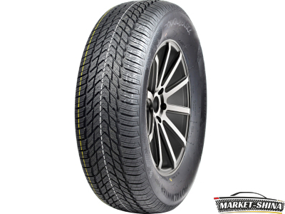 Royal Black Royal Winter HP 205/55 R16 91H