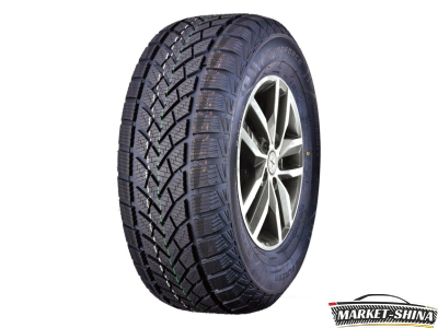 Windforce Snowblazer 205/55 R16 91H