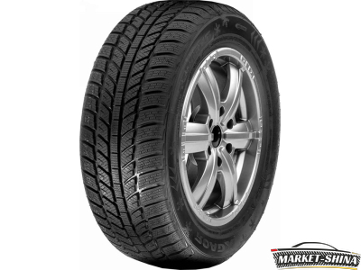 Roadx RXFrost WH01 195/65 R15 91H